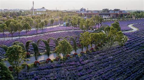 申迪生態園怎麼去，是否知道申迪生態園是位於上海市郊的一處自然教育基地，也是上海城市森林公園之一，該園區集生態保護、科普教育、遊憩休閒等功能於一身。